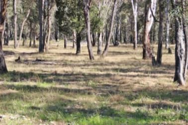 1142 MANCERS LANE Binnaway NSW 2395 - Image 1