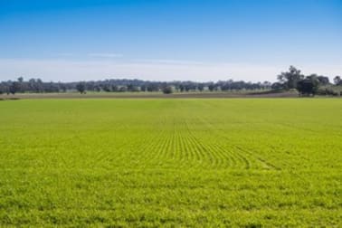 985 Feltrim Rd Earlston VIC 3669 - Image 2