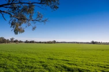 985 Feltrim Rd Earlston VIC 3669 - Image 3