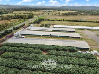 1004 Bilwon Road Biboohra QLD 4880 - Image 2