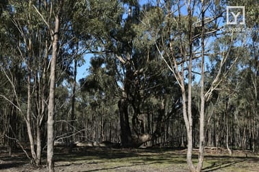 310 Woolshed Road Murchison VIC 3610 - Image 1