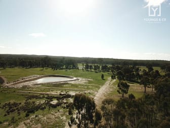 310 Woolshed Road Murchison VIC 3610 - Image 3
