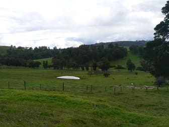 Click to view all images 340 Thomson Brook Road Thomson Brook WA 6239 - Image 1