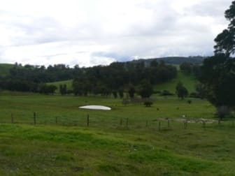 340 Thomson Brook Road Thomson Brook WA 6239 - Image 1