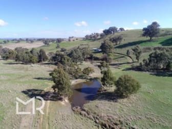 291 Merton-Strathbogie Road Merton VIC 3715 - Image 3