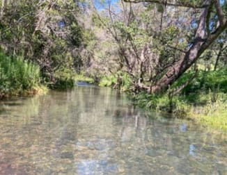 Click to view all images 382 Norwood Lane Mount George NSW 2424 - Image 3