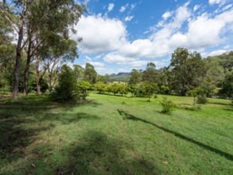 2393 Armidale Road Blaxlands Creek NSW 2460 - Image 2