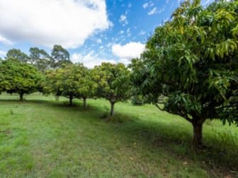 2393 Armidale Road Blaxlands Creek NSW 2460 - Image 3