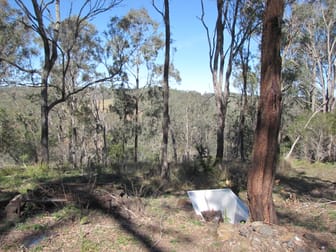 Click to view all images Lot 25 Cooyar Rangemore Road Cooyar QLD 4402 - Image 2