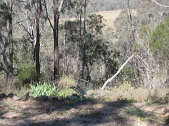 Click to view all images Lot 25 Cooyar Rangemore Road Cooyar QLD 4402 - Image 3