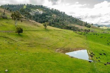 River Road Jingellic NSW 2642 - Image 1
