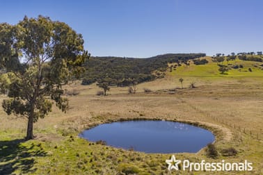 63 Wylchris Lane Mount Rankin NSW 2795 - Image 3