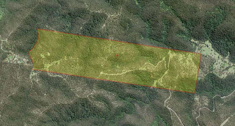 4924 Armidale Road Nymboida NSW 2460 - Image 2
