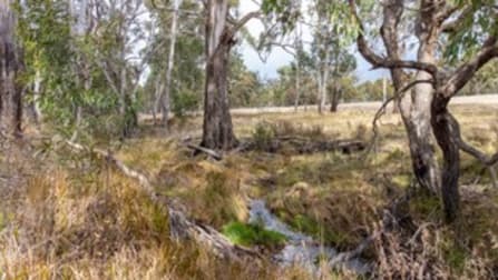 "Minbalup" New England Gully Road Tamworth NSW 2340 - Image 3