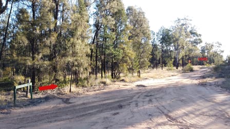 214 Foxglen Lane Jacks Creek NSW 2390 - Image 2