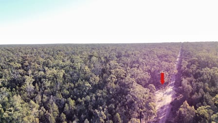 214 Foxglen Lane Jacks Creek NSW 2390 - Image 3