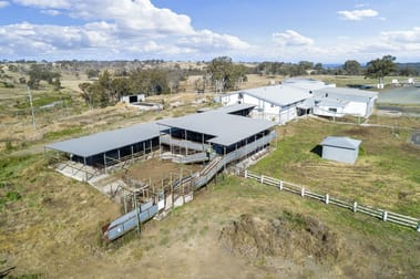 168 Boundary Road Pittsworth QLD 4356 - Image 2