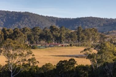 1221 Manning Hill Road Bunyah NSW 2429 - Image 2