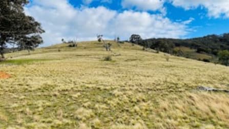 570A Bald Hills Creek Tongio VIC 3896 - Image 1