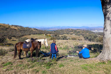 'Marengo Station' Daruka Road Tamworth NSW 2340 - Image 1