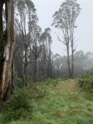 215 Beech Forest - Lavers Hill Road Beech Forest VIC 3237 - Image 3