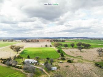 1975 Nullamanna Road Inverell NSW 2360 - Image 1