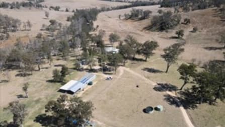 'Kintyre'/9472 Old Grafton Road, Newton Boyd via Glen Innes NSW 2370 - Image 2