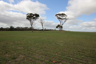 Lot 25303 Dixon Road Narembeen WA 6369 - Image 1