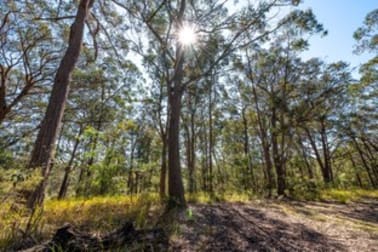 50 Eungella Lane Cedar Brush Creek NSW 2259 - Image 3