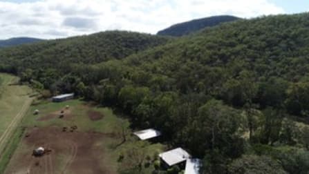 153 RASMUSSENS ROAD Clairview QLD 4741 - Image 2