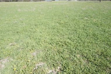 Click to view all images Ravensthorpe WA 6346 - Image 2