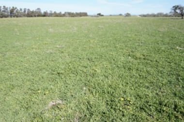 Click to view all images Ravensthorpe WA 6346 - Image 3