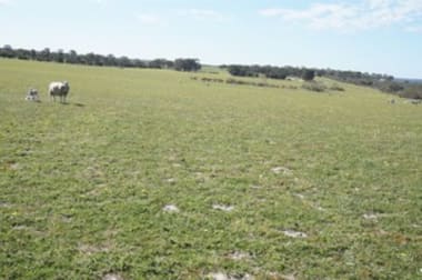 Click to view all images Ravensthorpe WA 6346 - Image 1