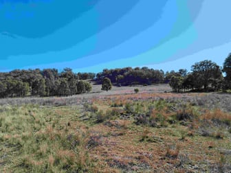 Bungendore Spur Rd Watsons Creek NSW 2355 - Image 3