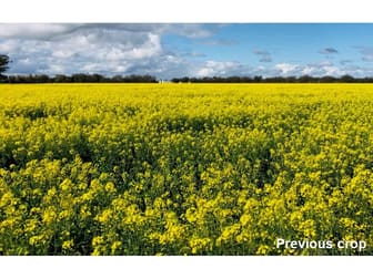 . Road View Narromine NSW 2821 - Image 3