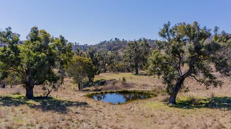 'Rutherglen' Limbri-Weabonga Road Weabonga NSW 2340 - Image 2