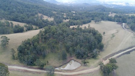 Lot 33 via 577 Black Flat Lane Wherrol Flat NSW 2429 - Image 1