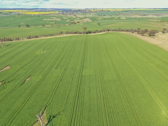 00 Currawong Rd Young NSW 2594 - Image 2