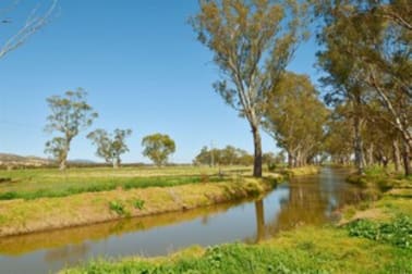 'St Aubins Without' 2335 New England Hwy Scone NSW 2337 - Image 2