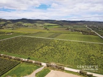 Lot 352 Main South Road Sellicks Hill SA 5174 - Image 3
