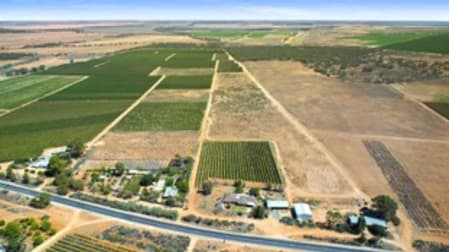 72 Kingston Road Moorook SA 5332 - Image 3