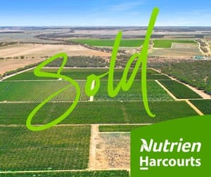 72 Kingston Road Moorook SA 5332 - Image 1