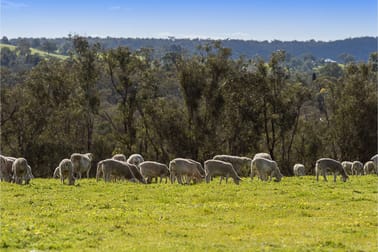 6053 Great Northern Highway Bindoon WA 6502 - Image 2