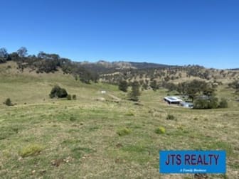 1023 Muscle Creek Road Muscle Creek NSW 2333 - Image 1