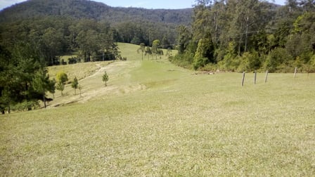 149 The Old Coach Road Batar Creek NSW 2439 - Image 1
