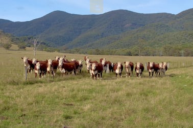 375 Pound Creek Road Rocky Creek NSW 2390 - Image 1