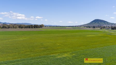 434 Melrose Road Mudgee NSW 2850 - Image 2