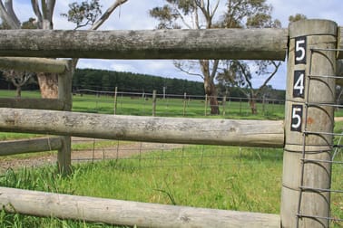 545 Casterton-Penola Road Casterton VIC 3311 - Image 2