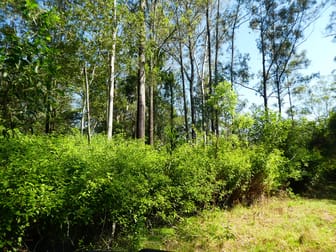 Lot 40-46 Old Wyan Road Rappville NSW 2469 - Image 1
