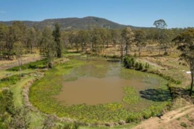 254 Careys Road Hillville NSW 2430 - Image 3